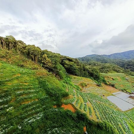 Dream 2 Appartement Cameron Highlands Buitenkant foto